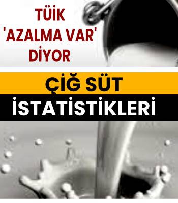 2022 Çiğ Süt Üretim İstatistikleri