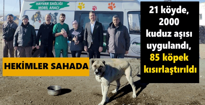 21 köyde, 2000 kuduz aşısı uygulandı, 85 köpek kısırlaştırıldı