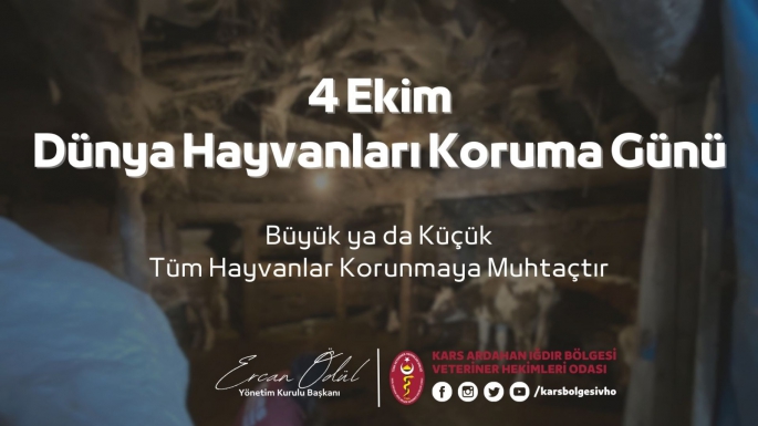 4 Ekim Dünya Hayvanları Koruma Günü