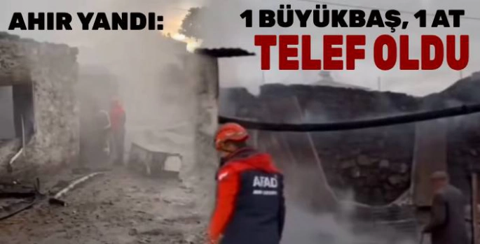 Ahır Yangını: Bir Büyükbaş Hayvan ve Bir At Telef Oldu