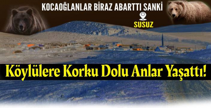 Akşam Saatlerinde Köye İndi, Köylülere Korku Dolu Anlar Yaşattı!