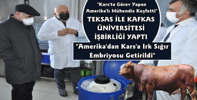 Amerika'dan Kars'a Sığır Embriyosu Getirildi