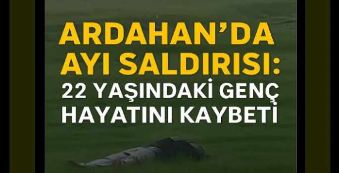 Ardahan'da Ayı Saldırısı: 22 Yaşındaki Genç Hayatını Kaybetti