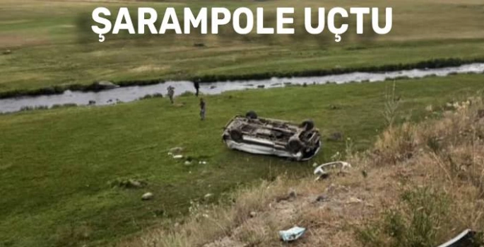 Ardahan'da Trafik Kazası: Araç Şarampole Devrildi