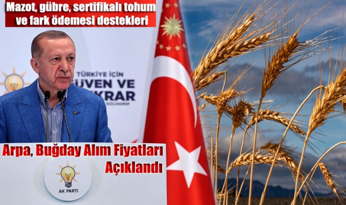 Arpa, Buğday Alım Fiyatları Açıklandı