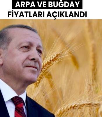 Arpa ve Buğday Fiyatları Açıklandı