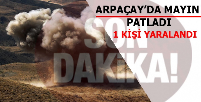 Arpaçay'da Mayın Patladı: 1 Kişi Yaralandı