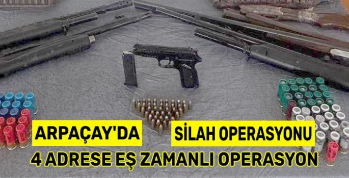 Arpaçay'da Silah Operasyonu: 4 Adrese Eş Zamanlı Baskın