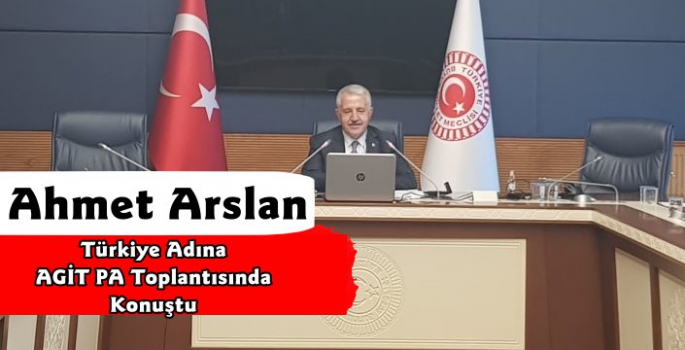 Arslan, AGİT PA toplantısında Türkiye adına konuştu