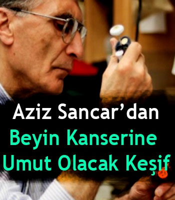 Aziz Sancar'dan beyin kanserine umut olacak keşif