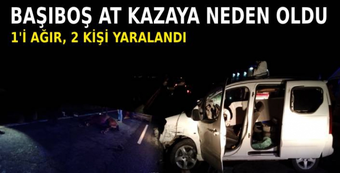 Başıboş at kazaya sebep oldu; 1'i ağır, 2 yaralı 