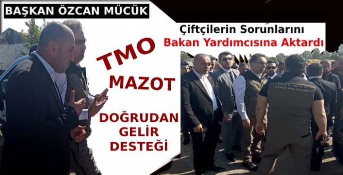 Başkan Mücük, Çiftçilerin Sorunlarını Bakan Yardımcısına Aktardı