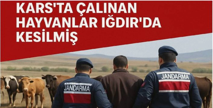 Besicilere Büyük Şok: Kars'ta Çalınan Hayvanlar Iğdır'da Kesilmiş