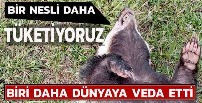 Bir Nesli Daha Tüketiyoruz!
