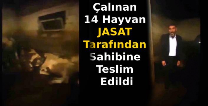 Çalınan 14 Hayvan JASAT Tarafından Sahibine Teslim Edildi