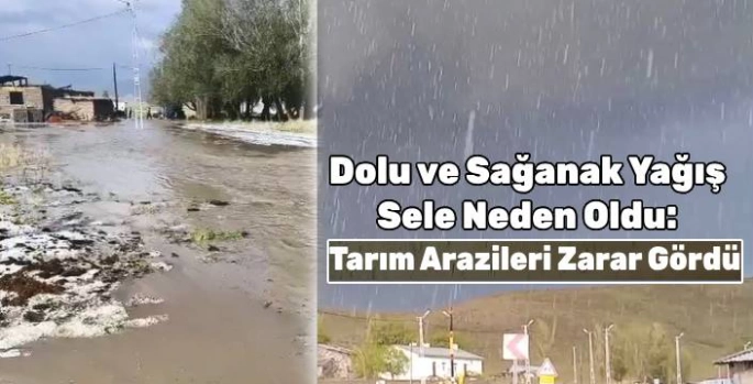 Dolu ve Sağanak Yağış Sele Neden Oldu: Tarım Arazileri Zarar Gördü