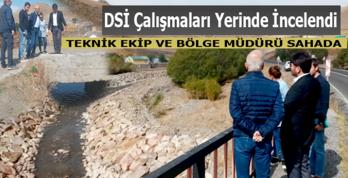 DSİ Çalışmaları Yerinde İncelendi