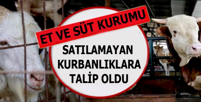 Et ve Süt Kurumu, Satılamayan Kurbanlıklara Talip Oldu