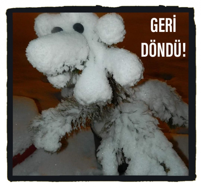 Gurbetin En Çok Özleneni Geri Döndü