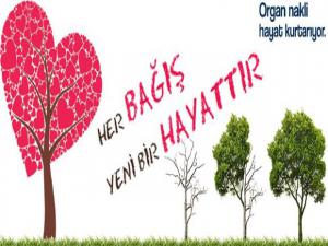 3-9 Kasım Organ Bağışı Haftası