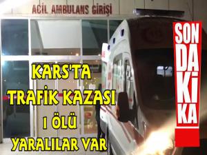 Arpaçay Yolunda Trafik Kazası 1 Kişi Öldü Yaralılar Var