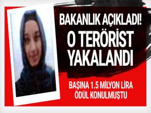 Başına 1.5 milyon lira ödül Konulan terörist yakalandı