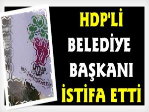 HDPli Belediye Başkanı İstifa Etti