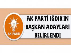 Iğdır'da AK Parti Belediye Başkan Adayları Belli Oldu