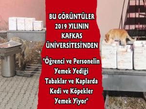 Kafkas Üniversitesi'nde İnsan Sağlığını Tehdit Eden Görüntüler