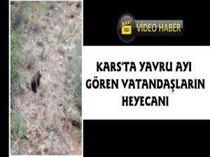 Kağızman'da Yavru Ayı Gören Vatandaşların Heyecanı