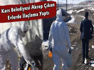 Kars Belediyesi Akrep Çıkan Evlerde İlaçlama Çalışması Yaptı