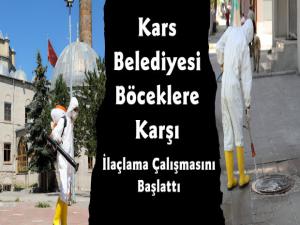 Kars Belediyesi Böceklere Karşı İlaçlama Çalışmasına Başladı 