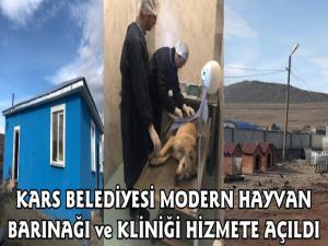 Kars Belediyesi Modern Hayvan Barınağı Hizmete Açıldı