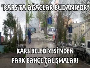 Kars Belediyesi'nden Park Bahçe Çalışması