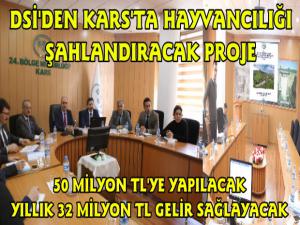 Kars DSİ'den 50 Milyon Tl'lik Hayvan İçme Suyu Göleti