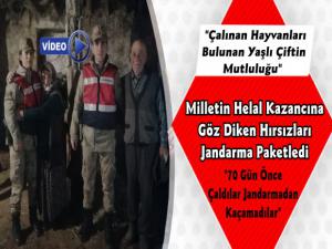 Kars Jandarma Hayvan Hırsızlarına Fırsat Vermiyor