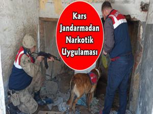 Kars Jandarmadan Narkotik Uygulaması