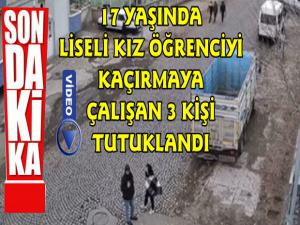 Kars'ta 17 Yaşındaki Liseli Kızı Zorla Kaçırmaya Çalışan 3 Kişi Tutuklandı 