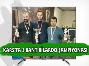 Kars'ta 3 Bant Bilardo Şampiyonu Nihat Alsanç Oldu