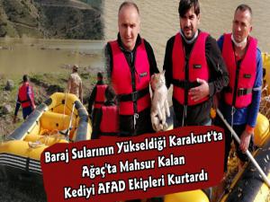 Kars'ta AFAD Ekipleri Baraj Sularında Mahsur Kalan Kediyi Kurtardı