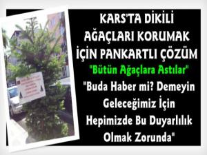 Kars'ta Ağaçları Korumak İçin Pankartlı Çözüm