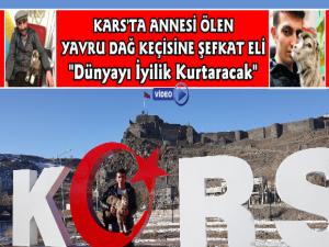 Kars'ta Annesi Ölen Dağ Keçisine Merhamet Eli