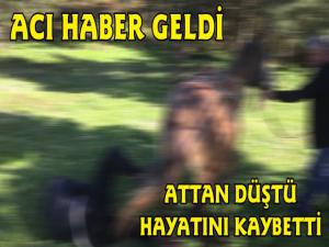 Kars'ta Attan Düşen Kişi Hayatını Kaybetti