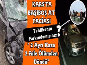 Kars'ta Başıboş Atlar Faciaya Davetiye Çıkarıyor