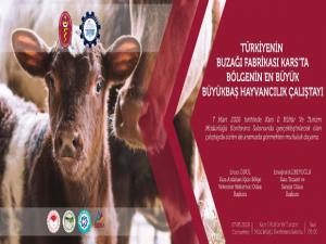Kars'ta Bölgenin En Büyük Hayvan Çalıştayı Düzenlenecek