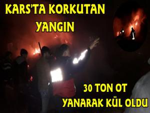 Kars'ta Çıkan Yangında 30 Ton Ot Yanarak Kül Oldu