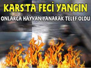 Kars'ta Çıkan Yangında Onlarca Hayvan Yanarak Telef Oldu