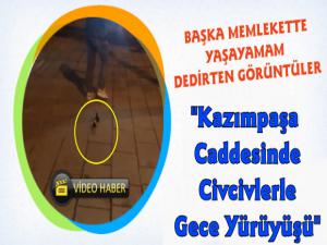 Kars'ta Civcivlerle Yürüyüşe Çıkan Gencin Videosu Beğeni Topladı