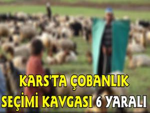 Kars'ta Çobanlık Seçimi Kavgası 6 Yaralı