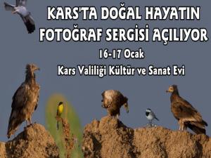 Kars'ta Doğal Hayatın Fotoğraf Sergisi Açılıyor